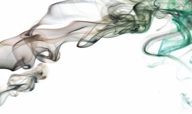 Beyaz arka planda pürüzsüz soyut duman kıvrımları. Grafik tasarım afişi
