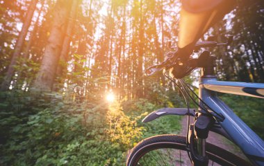 Bisiklet kiralama etkinliği teması. Güneşli park arka planında mavi bisiklet