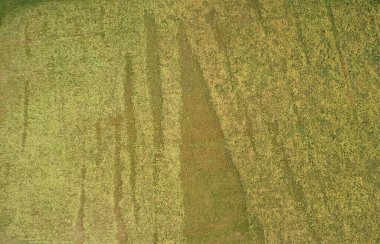 İHA görünümünün üzerindeki sarı doğal alan özeti