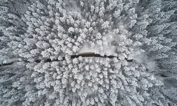 Сельская Дорога Фоне Зимних Лесов Сверху — стоковое фото