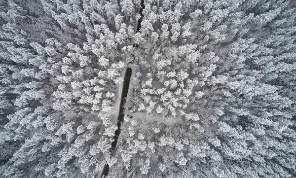Estrada Reta Fundo Floresta Inverno Acima Vista Superior Drone — Fotografia de Stock