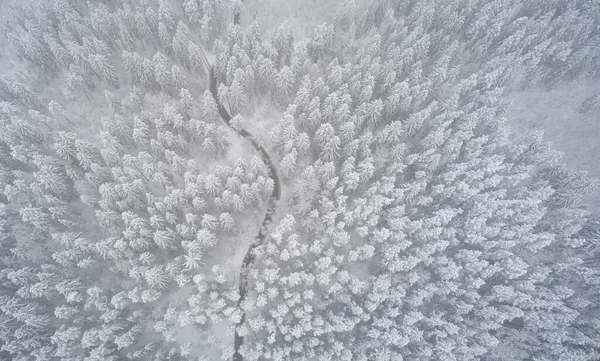 Limpiar Invierno Bosque Fondo Aéreo Drone Vista Superior — Foto de Stock