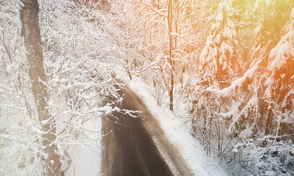 Βρώμικος Δρόμος Λευκό Χειμώνα Χιονισμένο Δάσος Εναέρια Θέα Drone — Φωτογραφία Αρχείου