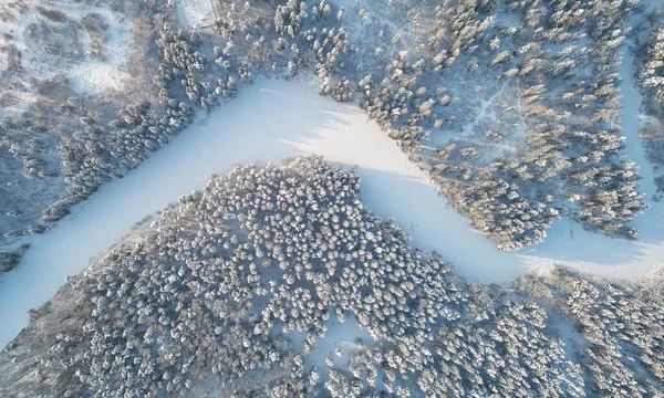 Замерзшее Озеро Лесу Окружают Зимнее Время Воздуха Над Беспилотником Зрения — стоковое фото