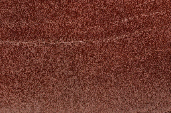 Textured Leather Brown Surface Macro Close View Skin Cover — Stock Photo, Image