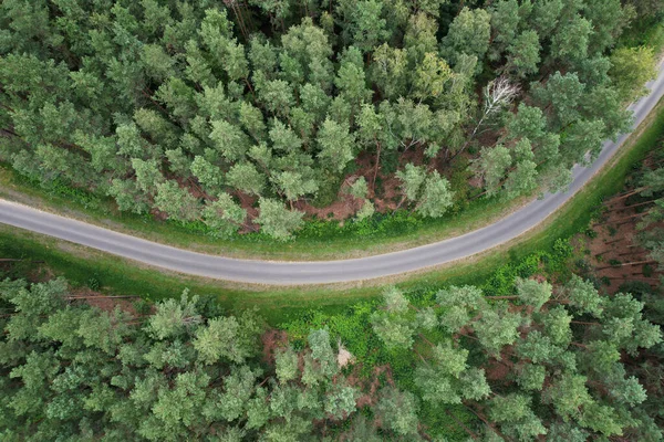 Empty Road Forest Aerial Drone View Rural Green Forest — Stock Photo, Image