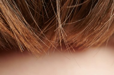 Kafanın arka planında kahverengi saç çizgileri makro görünüm