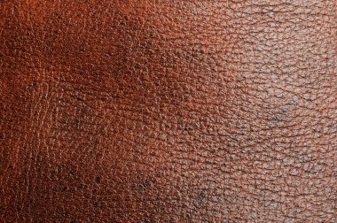 Kahverengi deri yüzey makrosu yakın görüş. Kusursuz bej rengi ten