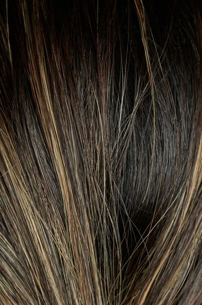 Μικτή Τριχοφυΐα Σκούρα Και Ελαφριά Υφή Μαλλιών — Φωτογραφία Αρχείου