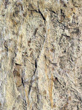 Corrosion on brown rock background macro close up view