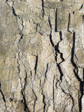 Soyut kahverengi kaya taşı arkaplan yakın görünüm