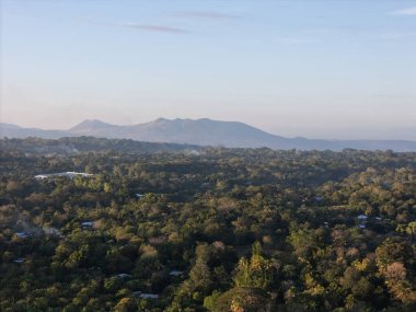 Sabah saatlerinde berrak bir gökyüzünün altındaki geniş ağaçlar ve dağlar..