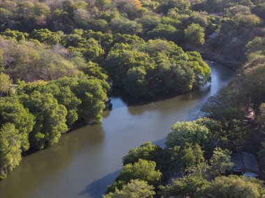 Parlak güneş ışığı altında yeşil ağaçlarla dolu bir ormanda bir nehir yavaşça ilerler. Manzara yeşilin çeşitli tonlarını ve akan suyu gösteriyor..