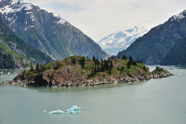 Verano en Alaska —  Fotos de Stock