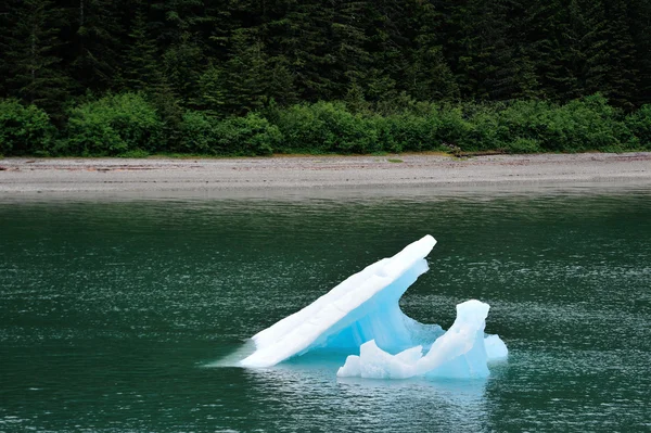 Verano en Alaska —  Fotos de Stock