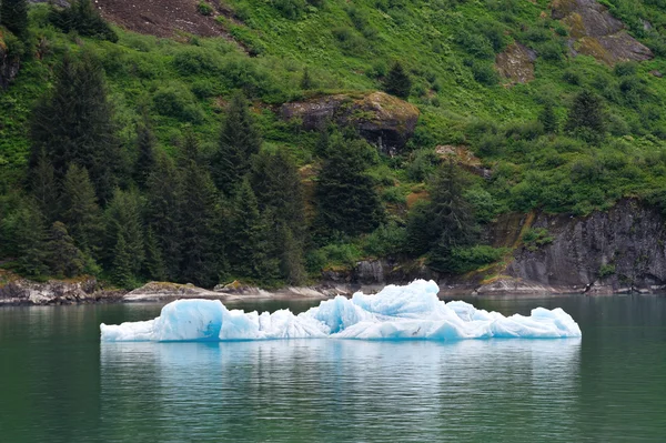 Summer in Alaska — Stock Photo, Image