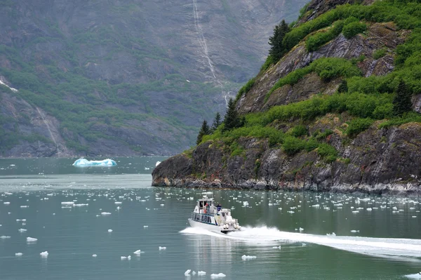 Verano en Alaska —  Fotos de Stock