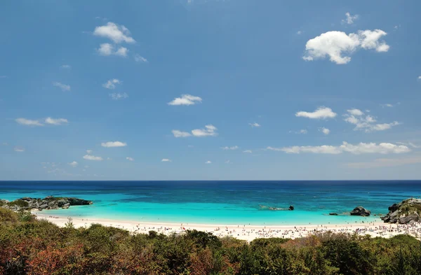 Praia com areia de oink nas Bermudas — Fotografia de Stock