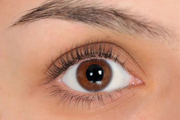 Macro olho direito — Fotografia de Stock