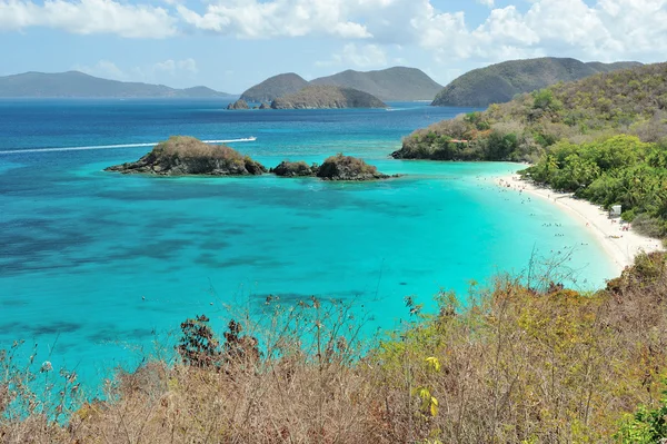 Beach in U.S. Virgin Islands — Stock Photo, Image