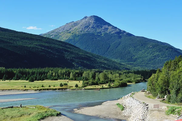 Letní krajina na Aljašce — Stock fotografie