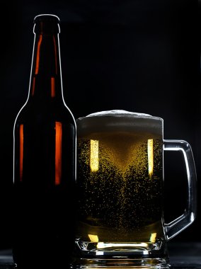 Bira şişesi ve cam.