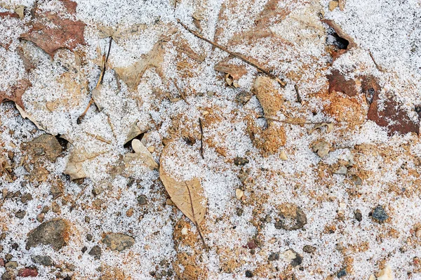 Terreno ghiacciato con neve — Foto Stock