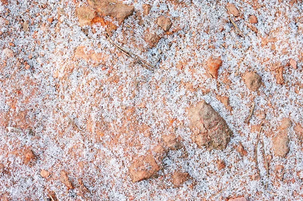 Röd snone runt snö — Stockfoto