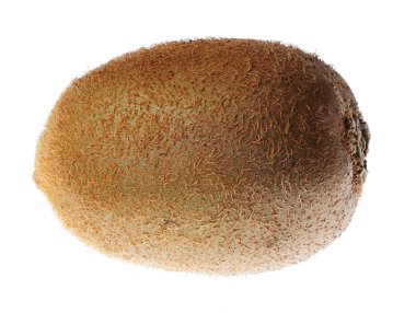 Kivi beyazda izole edildi