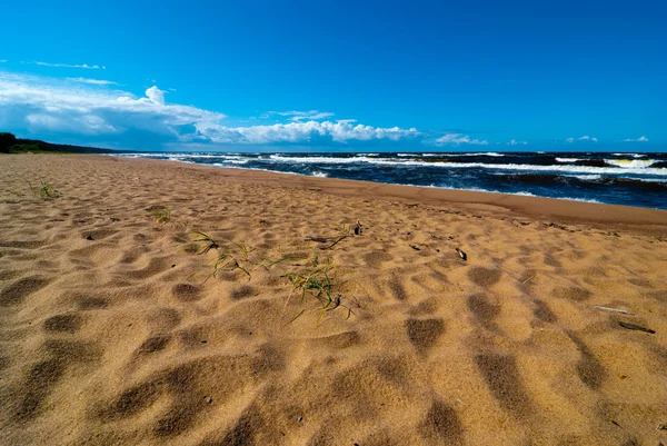 Letonya Baltık Denizi'nin Beach