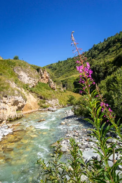 Doron River Vanoise National Park Alpine Valley Savoie French Alps — Stock Photo, Image