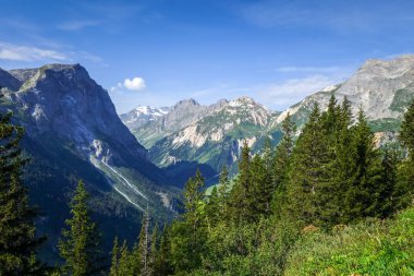 Pralognan la Vanoise 'deki dağ ve otlaklar. Fransız Alpleri