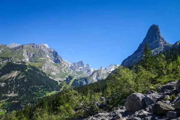 Ορεινό Και Δασικό Τοπίο Στο Pralognan Vanoise Γαλλικές Άλπεις — Φωτογραφία Αρχείου