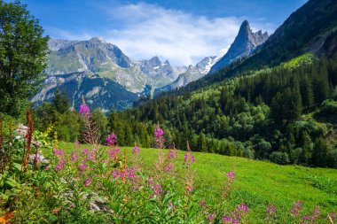 Mountain and pastures landscape in Pralognan la Vanoise. French alps clipart