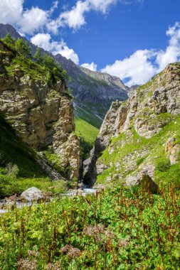 Vanoise Ulusal Parkı Alp Vadisi 'ndeki Doron Nehri, Fransız Alpleri.