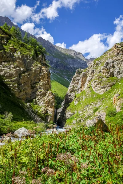 Rivière Doron Dans Parc National Vanoise Vallée Alpine Savoie Alpes — Photo
