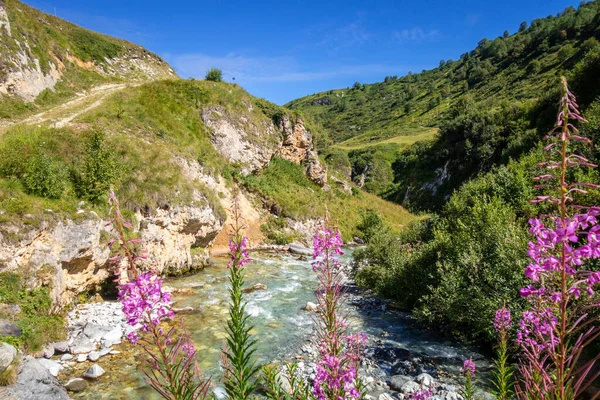 Doron River Vanoise National Park Alpine Valley Savoie French Alps — Stock Photo, Image