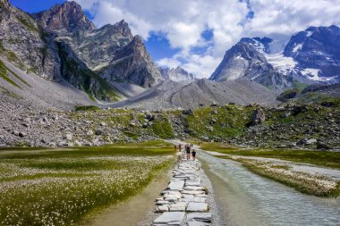 Vanoise Ulusal Parkı, Savoy, Fransa 'daki İnek Gölü, Vaches Gölü.
