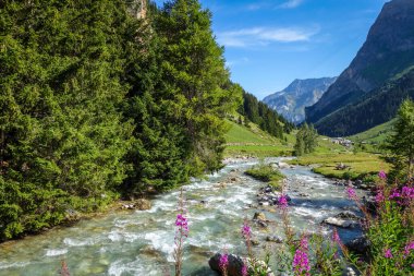 Vanoise Ulusal Parkı Alp Vadisi 'ndeki Doron Nehri, Fransız Alpleri.