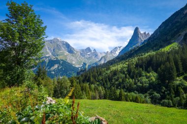 Pralognan la Vanoise 'deki dağ ve otlaklar. Fransız Alpleri