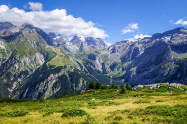Pralognan la Vanoise 'deki dağ ve otlaklar. Fransız Alpleri