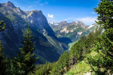 Pralognan la Vanoise 'deki dağ ve otlaklar. Fransız Alpleri