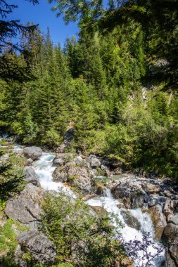 Vanoise 'deki Dağ Nehri Ulusal Park Alp Vadisi, Savoie, Fransız Alpleri