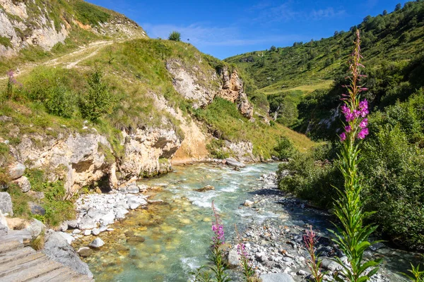 Doron River Vanoise National Park Alpine Valley Savoie French Alps — Stock Photo, Image