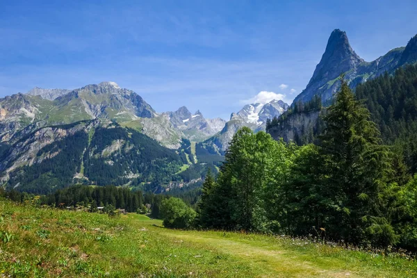 Paisaje Montaña Pastos Pralognan Vanoise Alpes Franceses — Foto de Stock