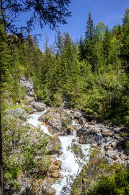 Vanoise 'deki Dağ Nehri Ulusal Park Alp Vadisi, Savoie, Fransız Alpleri