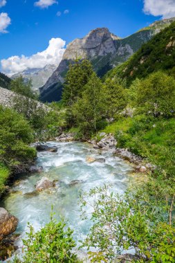 Vanoise Ulusal Parkı Alp Vadisi 'ndeki Doron Nehri, Fransız Alpleri.