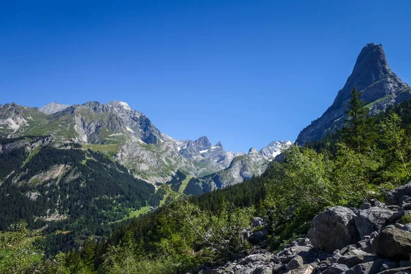 Ορεινό Και Δασικό Τοπίο Στο Pralognan Vanoise Γαλλικές Άλπεις — Φωτογραφία Αρχείου