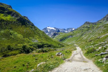 Pralognan la Vanoise 'deki Alp buzulları ve dağlar. Fransız Alpleri.