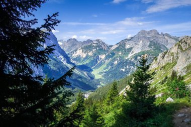 Pralognan la Vanoise 'deki dağ ve otlaklar. Fransız Alpleri